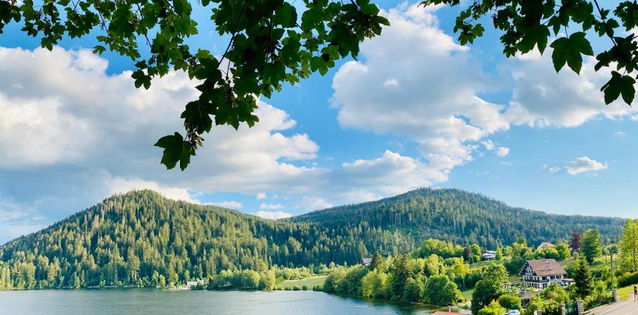 Le Chalet Au Bord Du Lac Gerardmer Ngoại thất bức ảnh