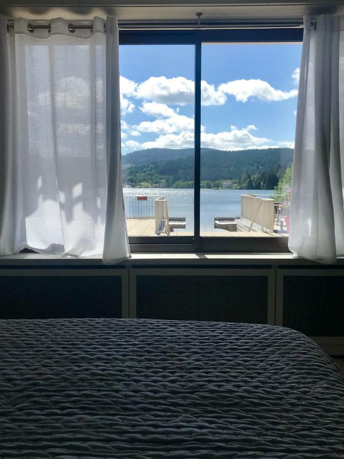 Le Chalet Au Bord Du Lac Gerardmer Ngoại thất bức ảnh