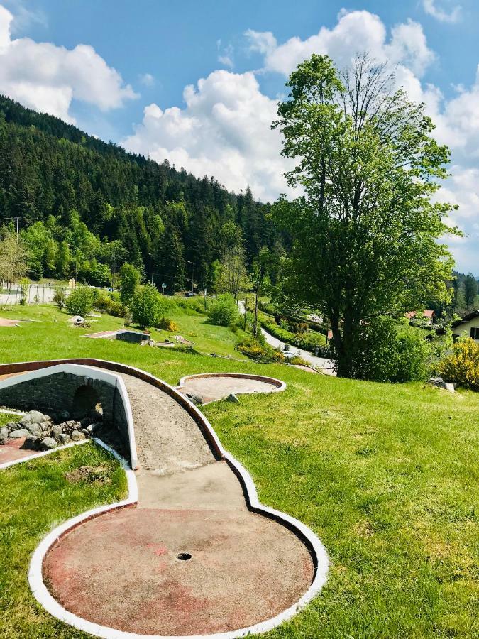 Le Chalet Au Bord Du Lac Gerardmer Ngoại thất bức ảnh