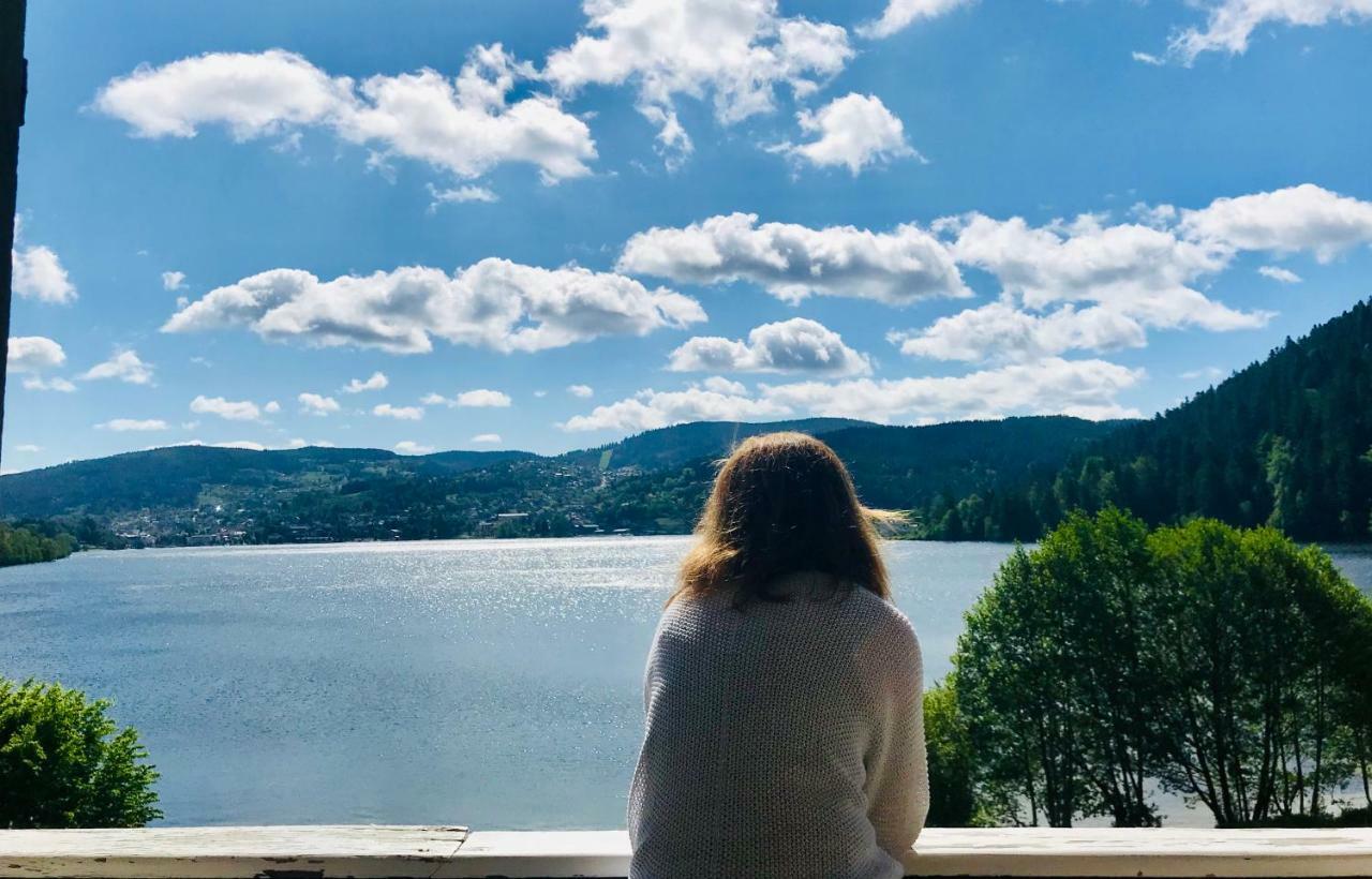 Le Chalet Au Bord Du Lac Gerardmer Ngoại thất bức ảnh